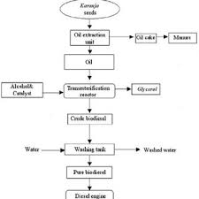 The Process Flowchart For Biodiesel Production Download