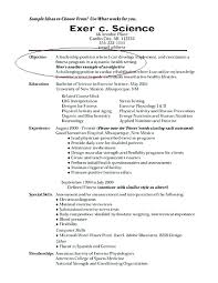 Great Resume Objectives Examples Wikirian Com