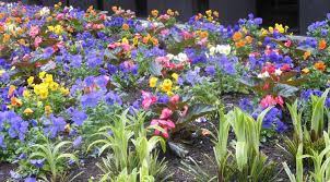 31 gorgeous flower bed ideas worth