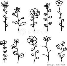 simple flower line drawing set stock