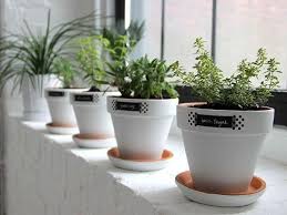 Memory Herb Garden Pots