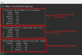 how to reset index of pandas dataframe