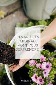31 Astuces De Jardinage Incroyables A Essayer – Otosection