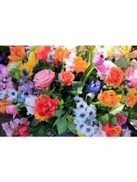 Ftd flowers for new baby boy. New Baby Flowers Delivery Gahanna Oh Rees Flowers Gifts Inc