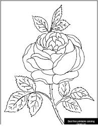 39+ skull and roses coloring pages for printing and coloring. Coloring Page Rose Free Printable Coloring Pages For Girls And Boys