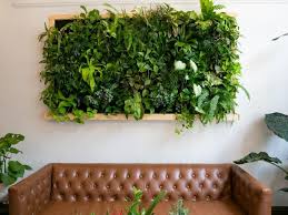 Ultimate Guide To Vertical Gardens
