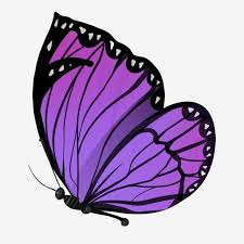 Maybe you would like to learn more about one of these? Beautiful Purple Butterfly Illustration Butterfly Clipart Purple Butterfly Png Transparent Clipart Image And Psd File For Free Download