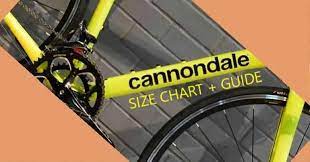 cannondale size chart synapse