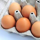 How long after eating eggs with Salmonella do you get sick?