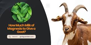 milk of magnesia to give a goat