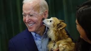 Former vp joe biden adopts a new puppy named major from the delaware humane association, encouraging others to adopt. It S Major Pets Poised For A Return To The White House