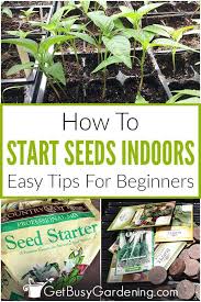 How To Start Seeds Indoors For