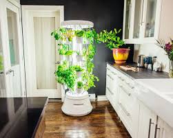 Our Favourite Indoor Gardening Systems