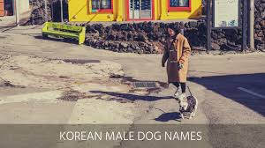 Many are derived from chinese, although some are indigenous korean in origin. Ultimate List Of The Top 500 Korean Dog Names Cute Popular Female And Male Puppy Name Ideas