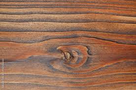 Wood Texture Wood Background Wood