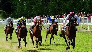 Résultat de recherche d'images pour "Image de chevaux de course"