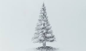 Простой и легкий способ нарисовать елку простым карандашом. Рисунки с  которыми справятся все | РИСУЮ ДОМА | Дзен