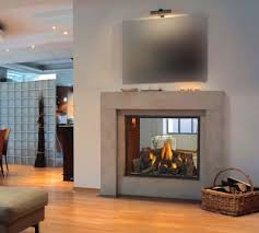 See Thru Direct Vent Gas Fireplace