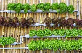 18 smart vertical garden ideas for