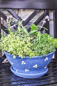 Pretty Container Herb Garden Diy