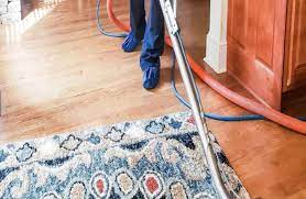 dalworth in home area rug cleaning