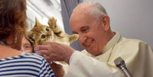 gattare all'inferno! - papa bergoglio bastona chi ama gli animali piÙ degli umani - Dagospia