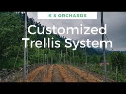 self made trellis system for m9 you