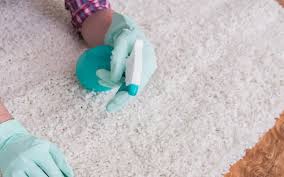 eco friendly carpet cleaners reviews
