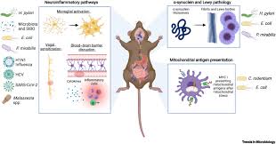 microbes and parkinson s disease from