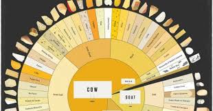 The Old Curiosity Shop Charted Cheese Wheel