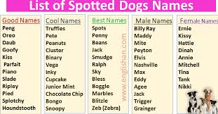 300 spotted dog names list in english