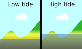 Tide For Fishing Understanding The Tides And Best Tides For