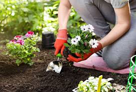 Planting A Spring Garden Tips For