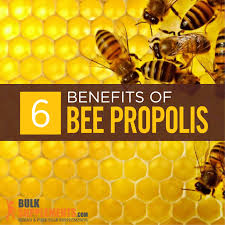 Shop for bee pollen & propolis in superfoods. Bee Propolis Benefits Side Effects And Dosage Bulksupplements Com