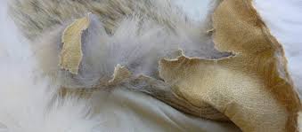 Dry Rot In Furs Ram Leather Care