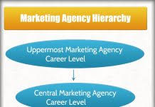 Sales Staff Job Titles Hierarchy Chart Hierarchystructure Com