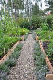 Planning Your Vegetable Garden