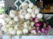 How many onions are 500g?