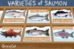 What is the tastiest salmon?