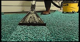 does publix carpet cleaners 2023