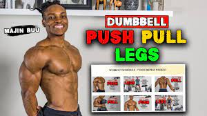 dumbbell ppl routine push pull legs