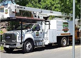 There is a lot involved in the care of trees we didn't even know that the tree was diseased we just thought it was dangerously low. 3 Best Tree Services In Alexandria Va Expert Recommendations