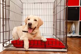 The 25 Best Large Dog Crates Of 2019 Pup Life Today