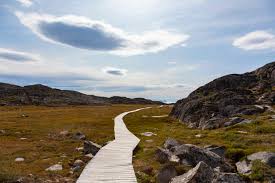 footpath through remote sunny rugged