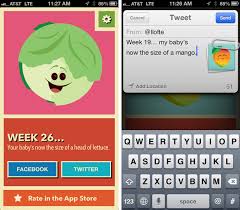Cute Fruit For Iphone Tracks Your Babys Growth Progress Imore
