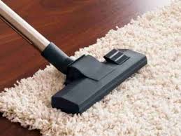 vacuum carpet cleaning service auckland