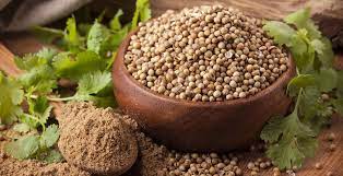 Coriander Benefits, Nutrition and Uses - Dr. Axe