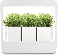Growled Plant Grow Light Led Indoor