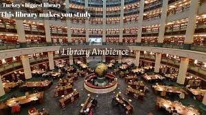 LİBRARY AMBİENCE to Study / Relax |