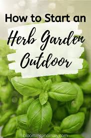 How To Start An Herb Garden Outdoor